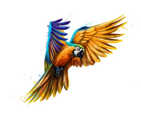 Premium Vector Portrait Blue And Yellow Macaw In Flight From A Splash