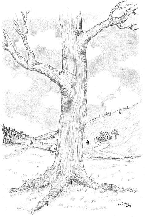 Landscape Drawing Trees With Pencil