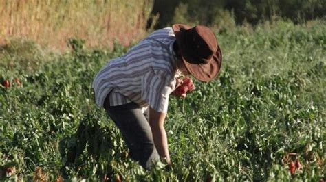 Agricultura Familiar Facilitar El Acceso A La Vivienda Y El Arraigo De