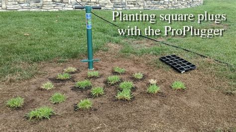 How To Plant Square Grass Plugs From Trays With The Proplugger Youtube