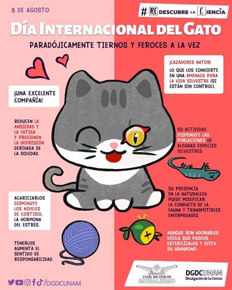 Divulgación de la Ciencia UNAM on Twitter Día internacional del gato