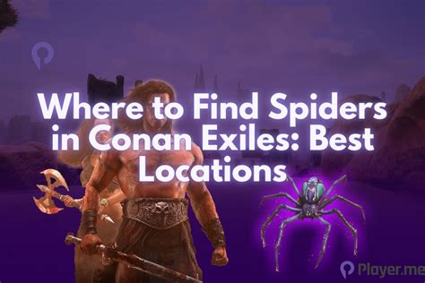 Where To Find Spiders In Conan Exiles Best Locations Player Me