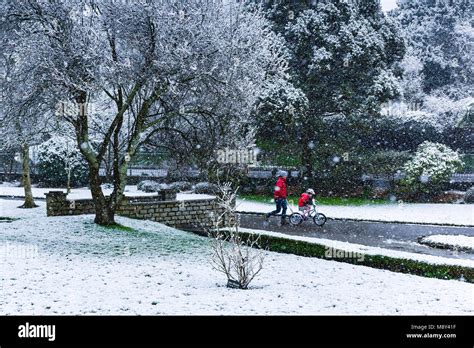 Snow Falling In Trenance Gardens In Newquay Cornwall Stock Photo Alamy