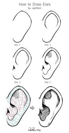 How To Draw Ears Jeyram Drawing Tutorials Come Disegnare Disegno