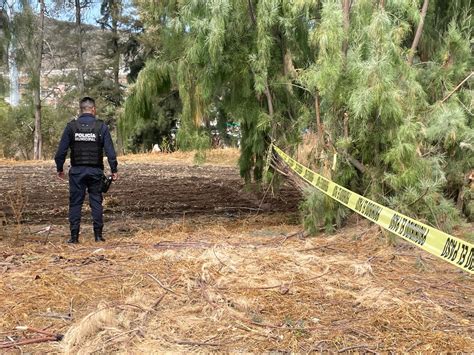 Mujeres caminan en Irapuato y hallan cráneo humano más adelante estaba