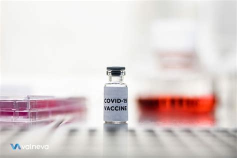 Vaccini Covid Ue Firma Contratto Con Valneva Per Milioni Di Dosi