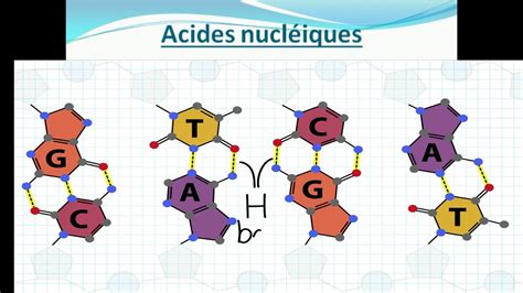 Introduction Au Cours De Biochimie Structurale Youtube