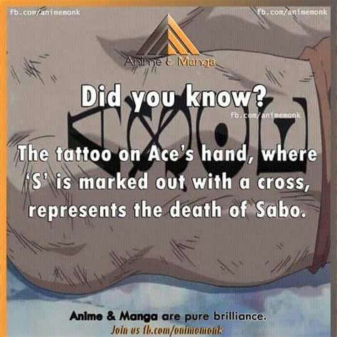 One Piece Fact Anime Amino