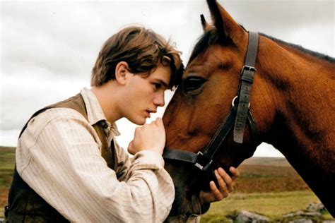 War Horse Movie Poster 24inx36in (61cm x 91cm) Art Poster 24x36 Multi ...