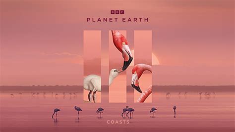 Planet Earth III BBC Earth BBC Asia