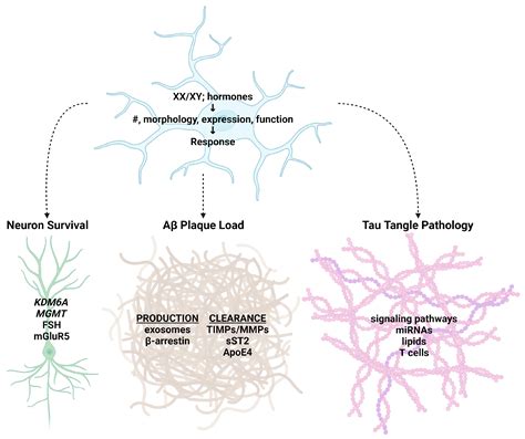 Ijms Free Full Text Minding The Gap Exploring Neuroinflammatory