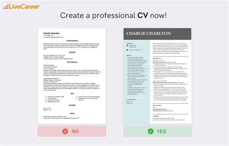 Europass CV: European CV Template & Format Examples (2023)