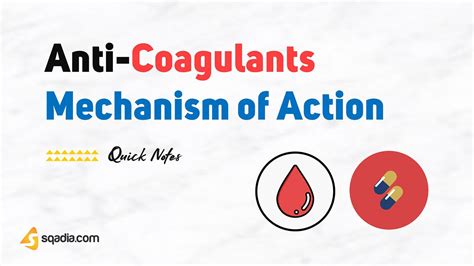 Warfarin Mechanism Of Action Animation