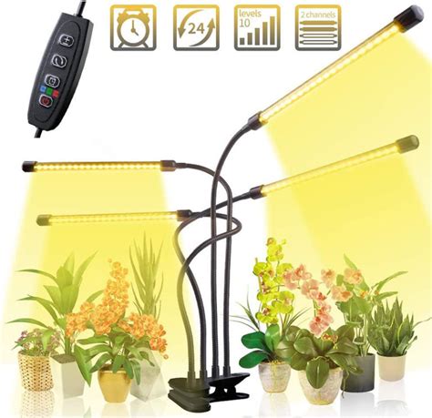 Comparatif Et Tests Des Meilleures Lampes Led Horticoles