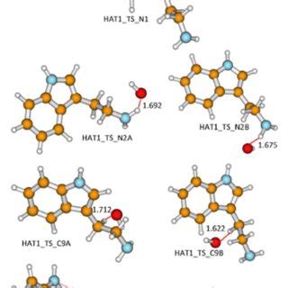 Optimized Geometries Of The Transition States Corresponding To The HAT