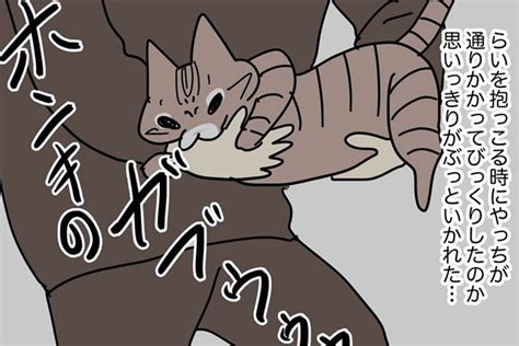 愛猫に噛まれて大変なことに注意喚起する実体験漫画に共感続々 「猫のしもべ あるある 」 Hint Pot 2