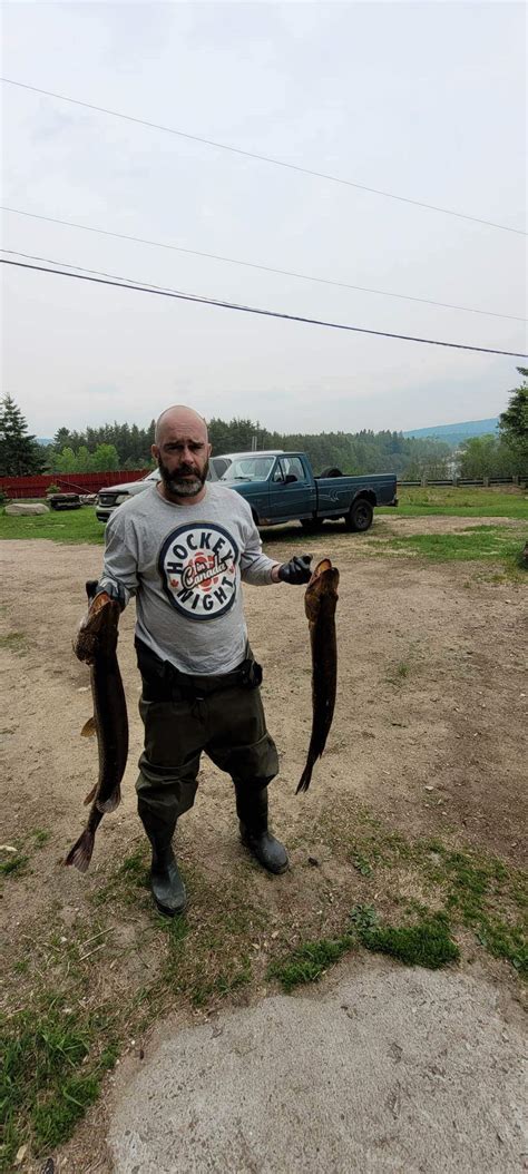 Brochet maillé Le mur des trophées Pêche QC