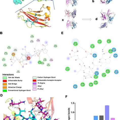 Phosphoproteomic Profiling Of The Intracellular Signaling Pathway Used