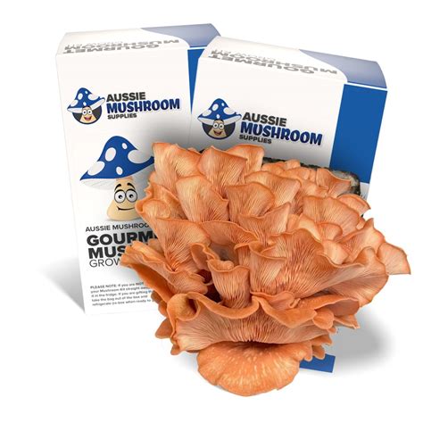 Mushroom Grow Kits Spray And Grow Aussie Mushroom Supplies