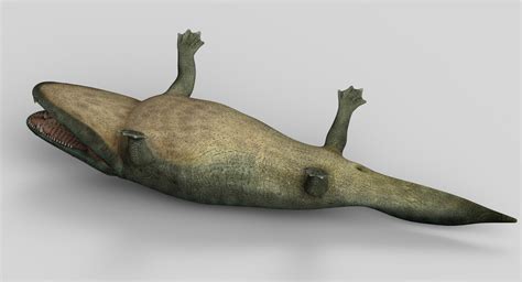 Mastodonsaurus 3d Model Turbosquid 1358723