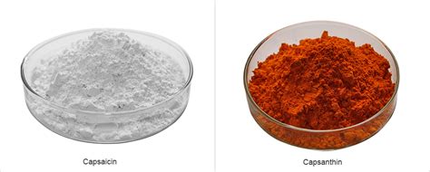 Wholesale Cayenne Pepper Extract Capsaicin Capsanthin Powder