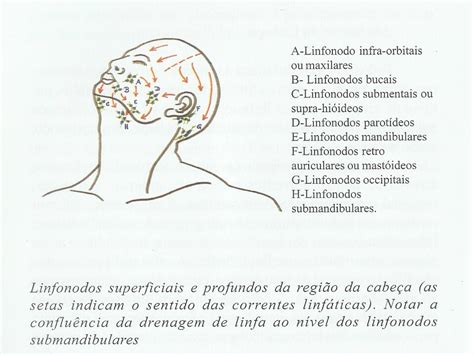 Estética Cosmética e Promoção da Saúde Drenagem Linfática Manual Facial