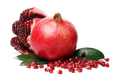 Pomegranate Extract Punica Granatum Supplement