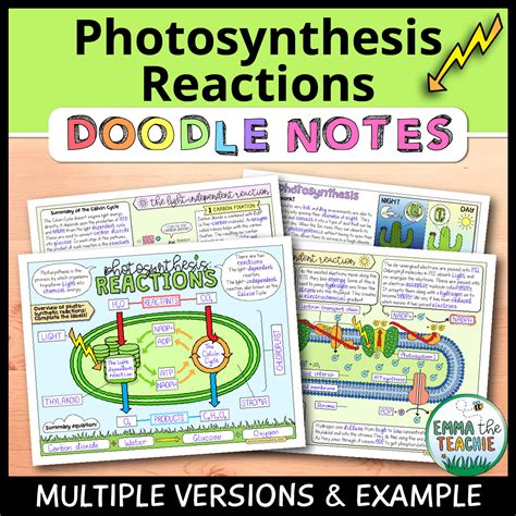 Photosynthesis Reactions Doodle Notes - Emmatheteachie