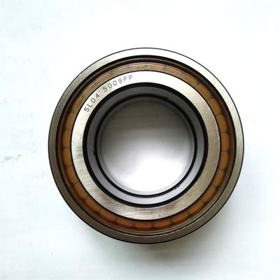 Full Complement Cylindrical Roller Bearings SL04 5010 PP