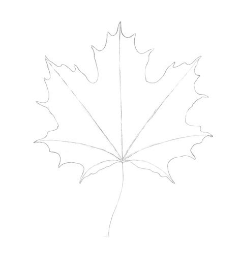 Maple Leaf Beginner Easy Colored Pencil Drawings