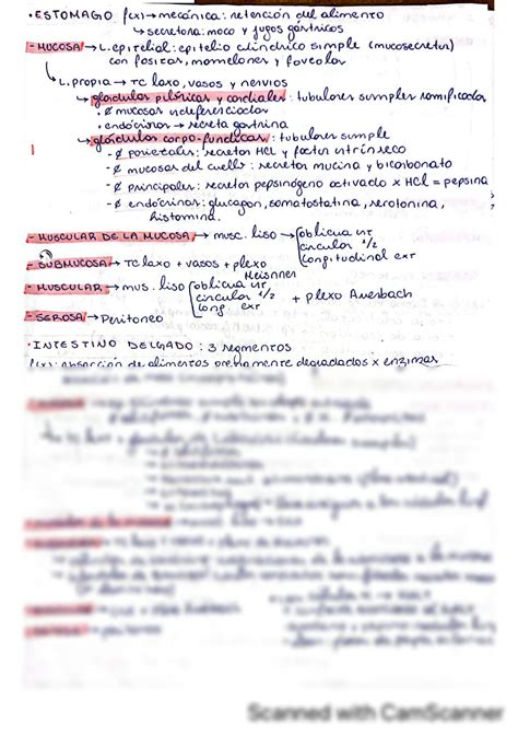 Solution Histologia Y Embriologia Del Sistema Digestivo Studypool