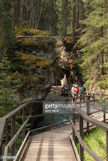 214 Bow River Pathway Stock Photos, High-Res Pictures, and Images ...