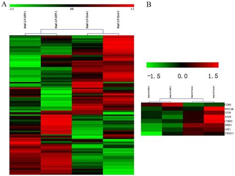 Heat Map Of Differential Expression Genes A Heat Map Visualization