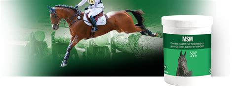 Msm Equine Supplements Supplements For Horses