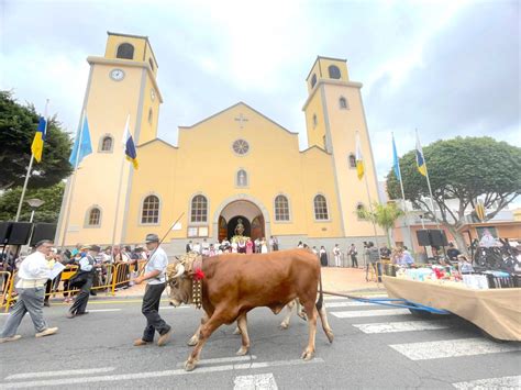 Una docena de carretas participarán este domingo en la Romería Ofrenda