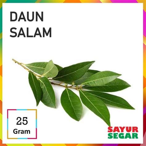 Jual DAUN SALAM [25g] - Daun Salam - Jakarta Selatan - SAYUR SEGAR ...