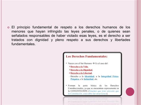 Derechos Humanos En Los Menores Infractores PPT