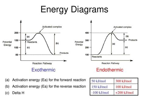 Understanding Energy Diagrams Unveiling The Secrets Of Exothermic And Endothermic Processes