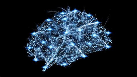 The Short Answer: What Is a Brain Circuit?