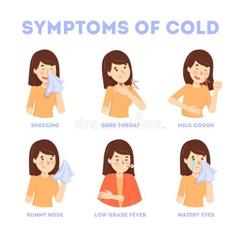 Cold And Flu Symptoms Infographic Fever And Cough Stock Vector