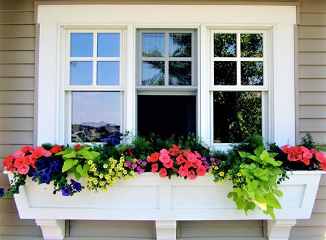 Window Box Planters Flowers Best Flower Site