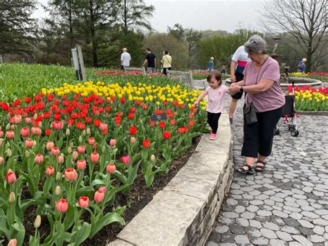 Public Flower Gardens: Twin Cities Parks With Beautiful Gardens to Explore