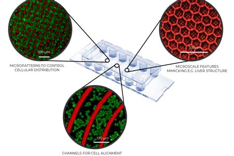 Bio Inx Launches Hydrotech Inx N200 The Worlds First Hydrogel Resin Enabling Macroscale 3d