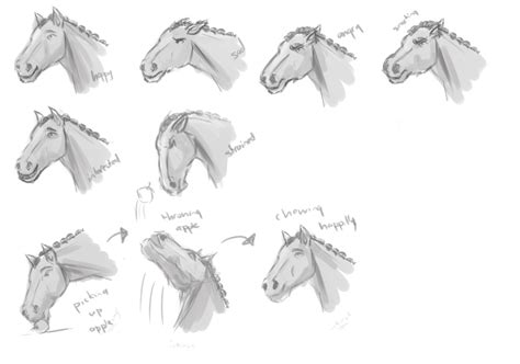 Horse facial expressions by Kelsi-sama on DeviantArt