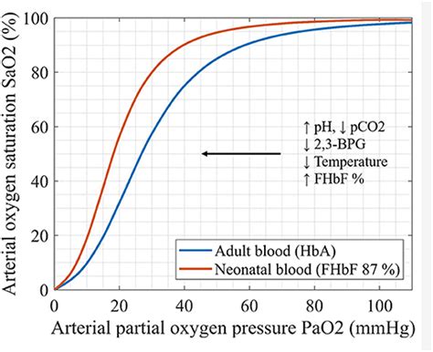 Frontiers Fetal Hemoglobin And Tissue Oxygenation Measured With Near