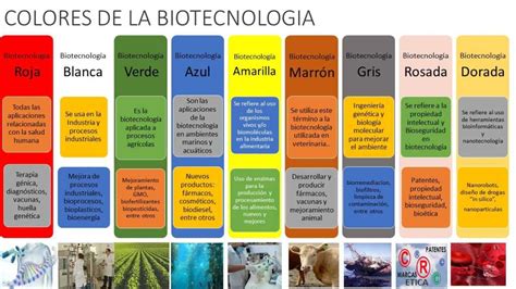 Qu Es La Biotecnolog A Conoces Sus Ventajas Desventajas Y Conoces