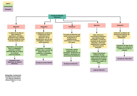 Proceso De Atencion De Enfermeria Cuidados De Enfermeria En Paciente