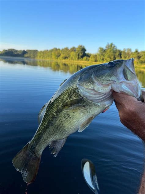 Kayak Report For Swan Creek Stick Marsh