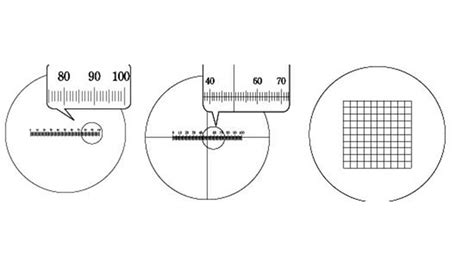 Eyepiece Graticules Scientific Instrument And Optical Sales Microscopes