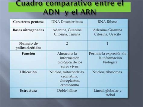 Cuadro Comparativo Donde Se Resalten Caracter Sticas De Adn Y Arn